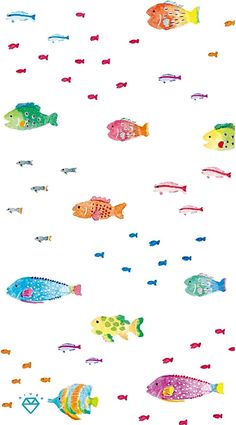 many different colored fish on a white background