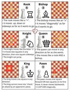 the chess game is shown with instructions on how to play it and how to use it