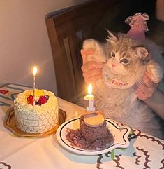 a cat sitting in front of a birthday cake with lit candles on it and someone holding up a candle