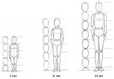 three different views of the human body and how they are made out of circles on each side