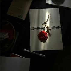 a red rose sitting on top of a white piece of paper next to a pen