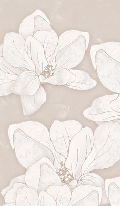 three white flowers on a beige background