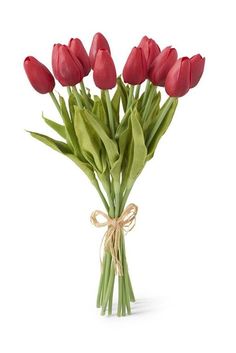 a bouquet of red tulips tied with a bow on a white background,