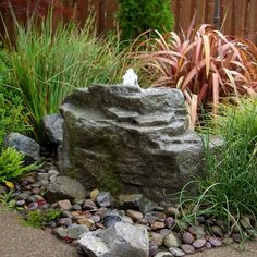 a garden with rocks and plants around it