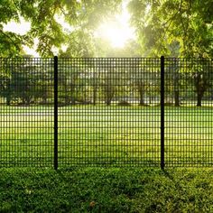 the sun shines through the trees and grass behind a black fence in a park