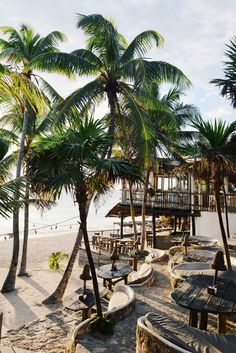 palm trees line the beach in front of a restaurant