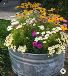 a large metal bucket filled with lots of different colored daisies and other wildflowers