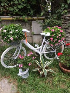 a white bicycle with flowers growing on it