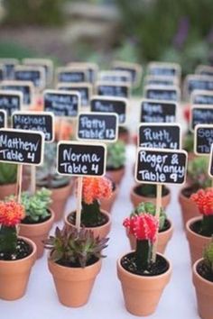 there are many potted plants on the table with chalkboard signs in each planter