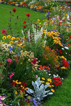 a garden filled with lots of colorful flowers