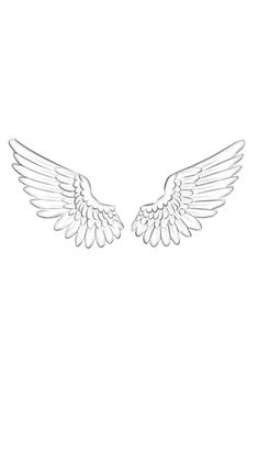 two white wings on a white background