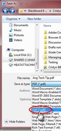 an image of the file format wizard in windows 7 and vista 10 with additional options highlighted