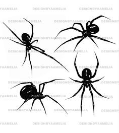 three black spider silhouettes, one with long legs and the other with large arms