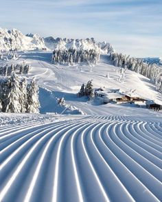 there are many tracks in the snow that make them look like they're skiing