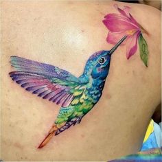 a colorful hummingbird with a pink flower on its back shoulder tattoo design by person