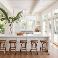 a kitchen island with four stools and a potted plant in the center area