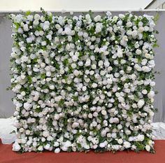 white flowers are growing on the side of a wall in front of a red carpet