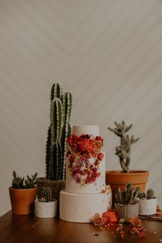 a three tiered wedding cake with colorful flowers on the side and cacti behind it