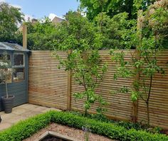 a small garden with a wooden fence and potted plants on the side of it