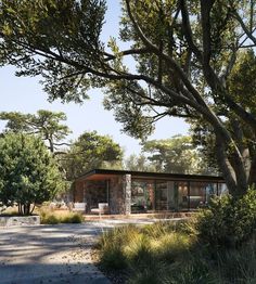 an artist's rendering of a modern house in the woods with trees around it