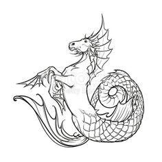 a black and white drawing of a dragon sitting on its hind legs with wings spread