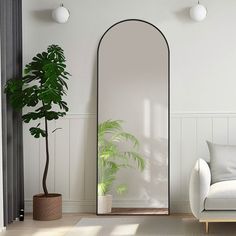 a living room with a couch, mirror and potted plant on the floor in front of it