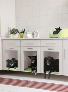 three dogs are sitting in their kennels on the floor next to each other