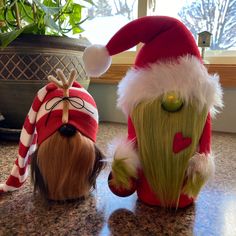 two stuffed animals wearing santa hats on top of a counter next to a potted plant