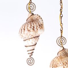 Pair of repurposed triton shells now light fixtures wrapped with decorative metal having curly cue tops and bottoms. Tops And Bottoms, Seashell Jewelry, Ocean Jewelry, Decorative Metal, Shell Jewelry, Wrapped Jewelry, Shell Pendant, Metal Decor, Wire Wrapping