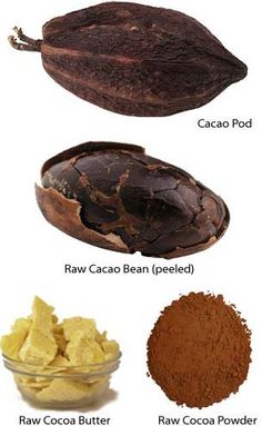 the different types of cocoa are shown here