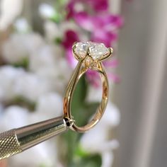 a close up of a person holding a pair of scissors in front of a flower