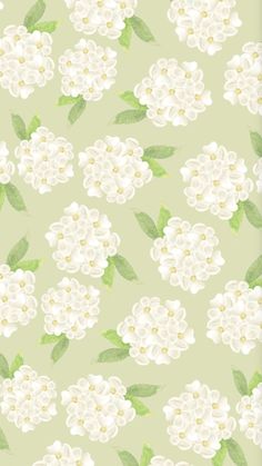 white flowers and green leaves are on a light green wallpaper with the same color as the background