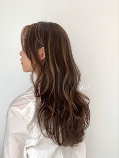 Brown Black Hair Color With Highlights, Hair Color Ideas For Beginners, Brown Hair W Subtle Highlights, Highlights Not From The Roots, Hair Dye Ideas For Long Brown Hair, Korean Dyed Hair Brown, High Contrast Babylights, One Highlight In Hair, Aesthetic Hair Highlights Korean