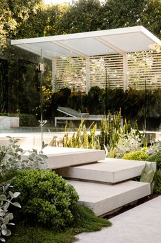 an outdoor area with steps and plants in the foreground, surrounded by greenery