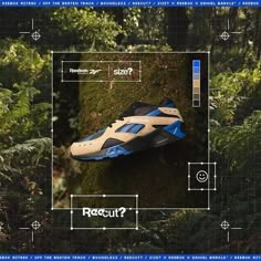 a pair of shoes sitting on top of a moss covered ground in the middle of a forest