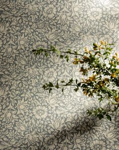 a vase filled with yellow flowers sitting on top of a table next to a wall