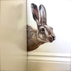 an image of a rabbit peeking out from behind a wall