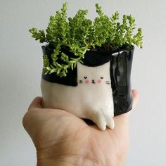 a hand holding a small planter with a cat in it's head and eyes