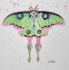 a painting of a green butterfly with blue eyes