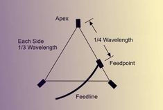 a diagram showing the different stages of an experiment