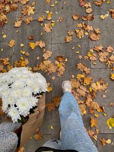 a person standing next to a bag with flowers in it on the ground surrounded by leaves