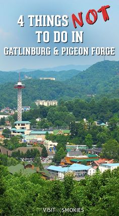 the cover of 4 things not to do in gatlinburg & pigeonn force