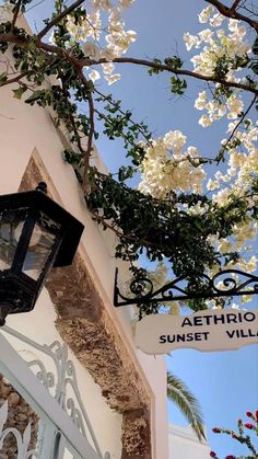 a street sign hanging from the side of a building next to a tree with white flowers