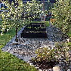 there is a garden in the yard with rocks and trees around it, including an apple tree