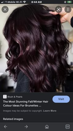 Plum Hair With Dimension, Chocolate Brown Hair With Purple Tint, Mulberry Brown Hair, Burgundy Hair Ideas For Brunettes, Deep Brown Burgundy Hair Color, Merlot Hair Color Balayage, Mahogany Lowlights Brunettes, Dark Hair With Mahogany Highlights, 2023 Fall Brunette Hair