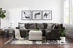 a living room filled with furniture and pictures on the wall