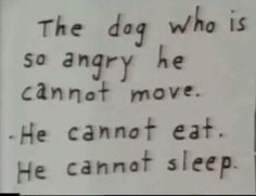 the dog who is so angry he cannot move he cannot eat he cannot sleep