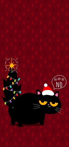 a black cat with a santa hat on its head