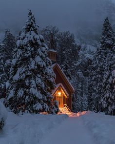 a cabin in the woods with snow on the ground and trees around it, lit up at night