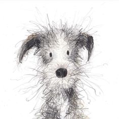 a drawing of a dog's face with hair on its head and nose, looking at the camera